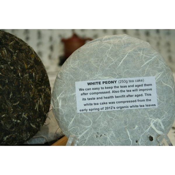 White Tea Disc (250g or 357g)