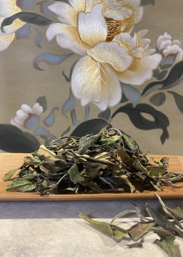 Golden Peony 政和白茶金牡丹