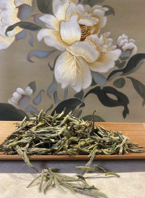 Peony King  政和极品白牡丹