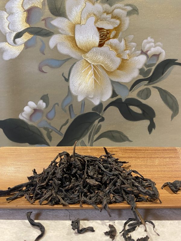 Tall Tree Water Fairy 高丛水仙