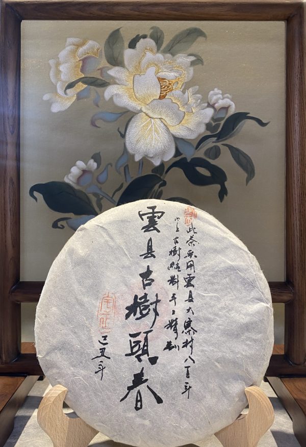 YunXian Old Tree 云县古树生普