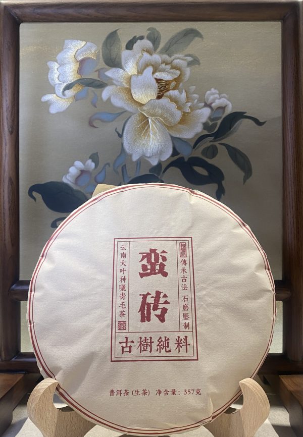 Man-Zhuan Old Tree  12古茶山之蛮砖古树生普
