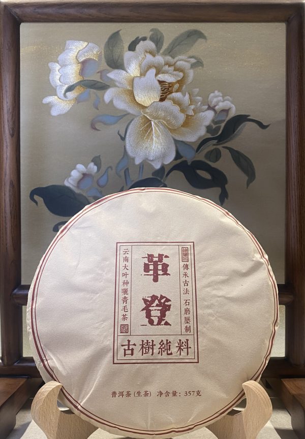 Ge-Deng Old Tree  12古茶山之革登古树生普