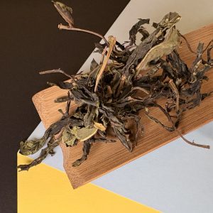 Ancient (2700+years) Wild Tree (BSh) Raw Puerh 本山野生古树生普洱茶